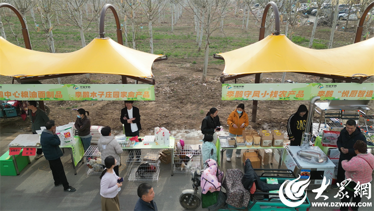 匠心傳承，共富同行 廣饒縣李鵲鎮(zhèn)“好品李鵲共富市集”上的麥秸畫(huà)藝術(shù)