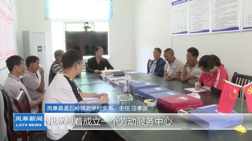 支部統(tǒng)籌勞務(wù)用工，村民家門(mén)口就業(yè)增收——孟石嶺鎮(zhèn)武學(xué)村的振興新實(shí)踐